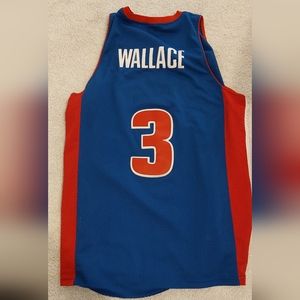 Ben Wallace Detroit NBA Jersey (Nike)